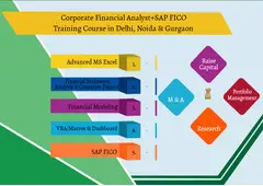 Financial Modeling Certification Course in Delhi,110029. Best Online Live Financial Analyst Training