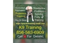 All Breeds K9 Training NY