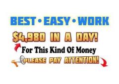 Free $8000 Money Website Earned $46K in 22 Days!