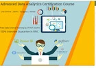 Data Analyst Certification Course in Delhi, 110033. Best Online Live Data Analyst Training