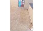 Carpet cleaning services near me